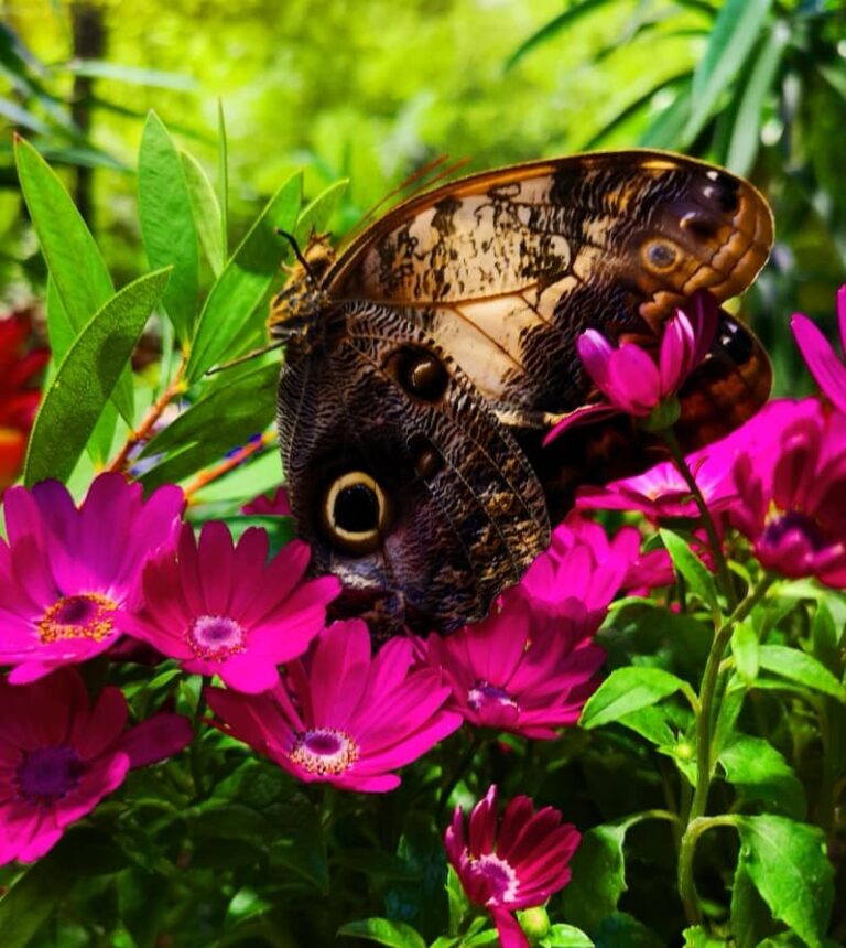 326207551 667838035140840 3317558438098469398 n 768x860