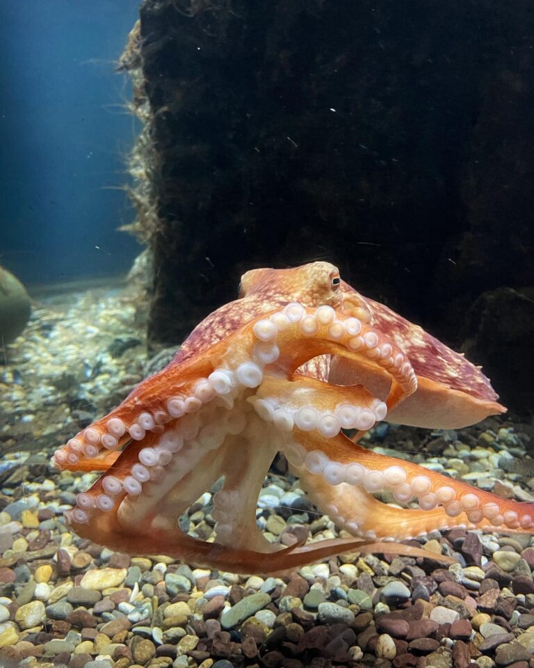 342342843 778716953707357 1060225466592139409 n 768x960