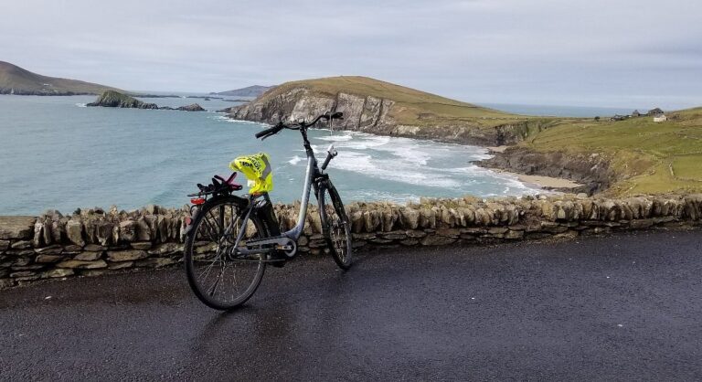 20180217 122940 largejpg 768x418