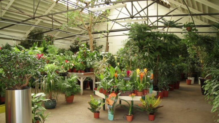 530457999 780x439 768x431