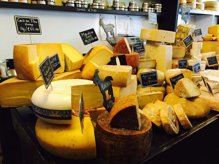 amazing cheese 768x576