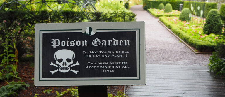 poison garden pic 768x333