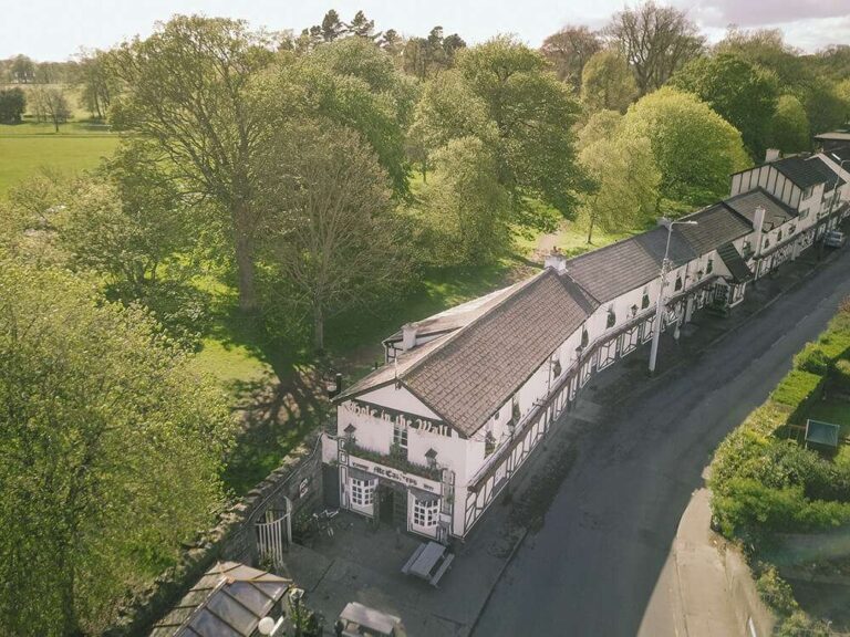 untitled 2 of 5 768x576