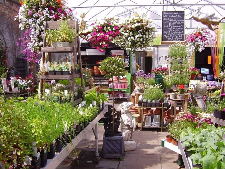 urban plant life garden 768x576