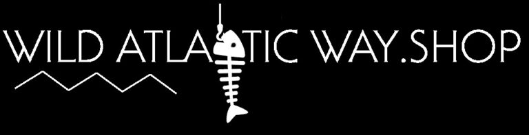 PHOTO 2021 10 05 11 14 03 768x197